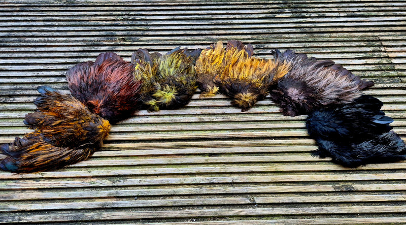 Whiting Farms - Coq de Leon Mayfly Tailing Pack