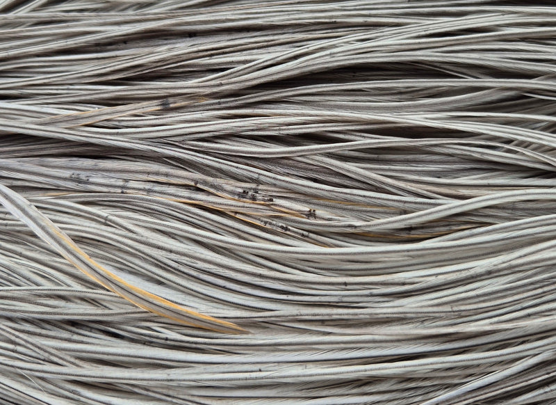 Whiting Farms - Pro Grade Midge Saddle - Natural Dun