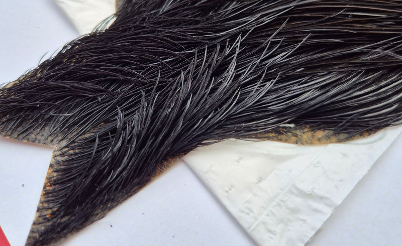 Whiting Farms - Commercial Grade Dry Fly Rooster Cape - Black