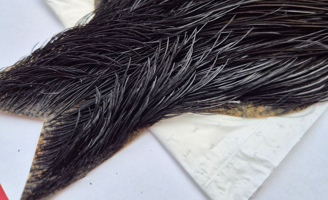 Whiting Farms - Commercial Grade Dry Fly Rooster Cape - Black