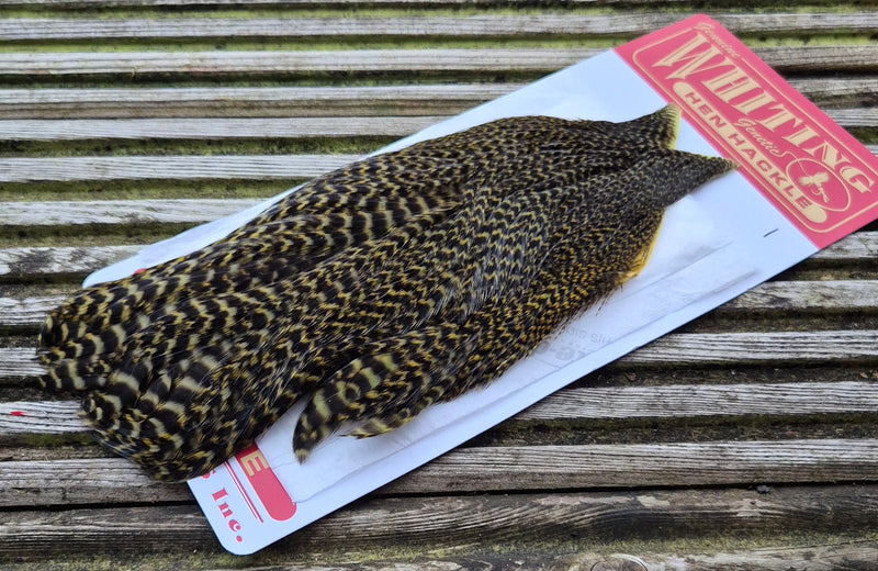 Whiting Farms - Hen Cape