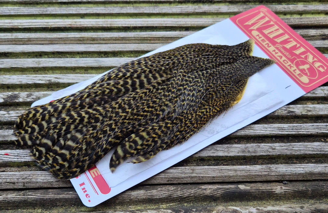 Whiting Farms - Hen Cape