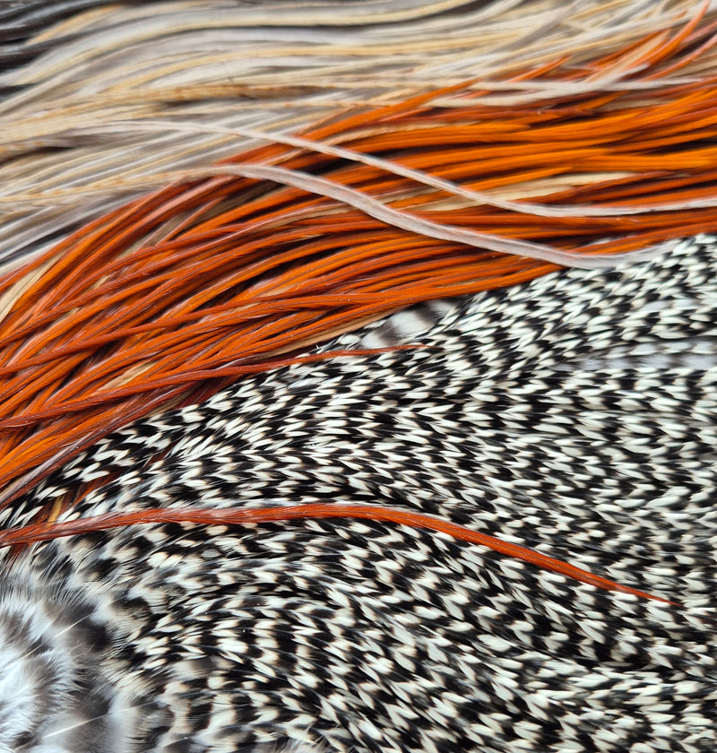 Whiting Farms - Introductory Hackle Pack - Four 1/2 Saddles