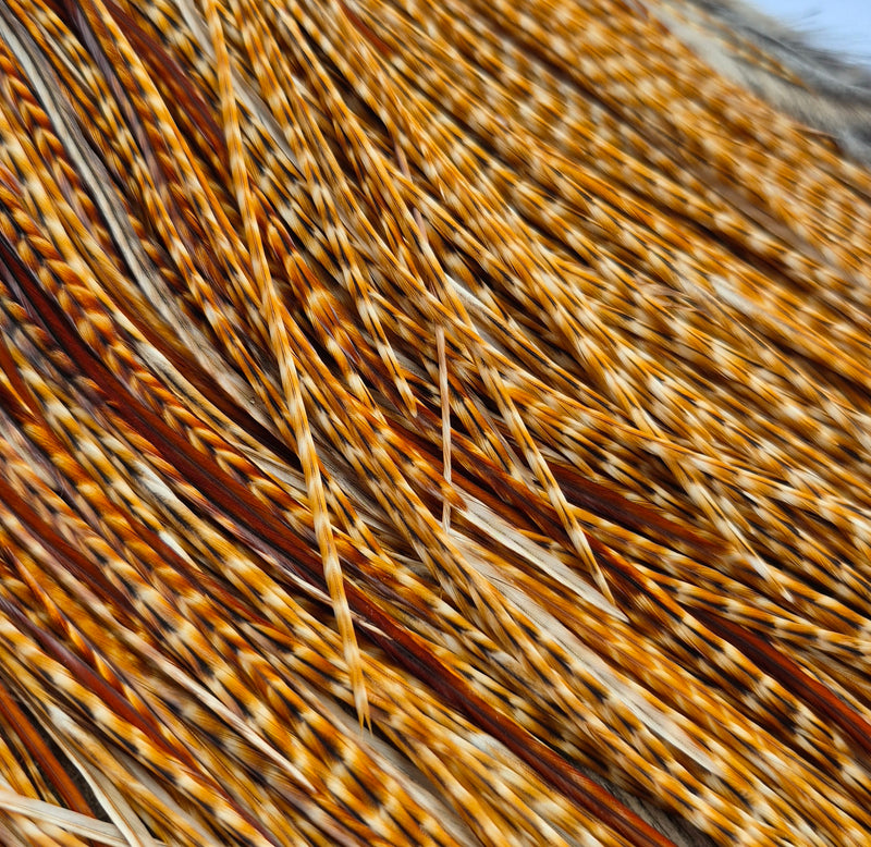 Whiting Farms - Commercial Grade Dry Fly Saddle - Barred Dark Ginger