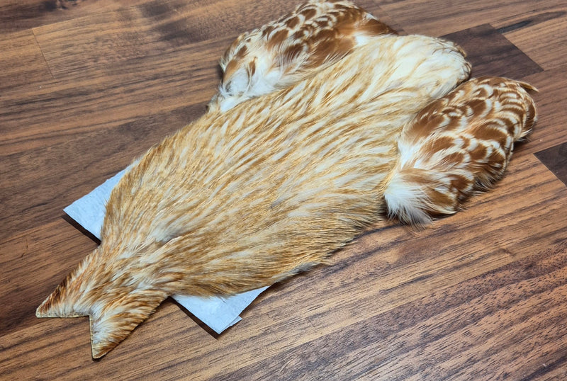 Whiting Farms 4Bs Hen Cape