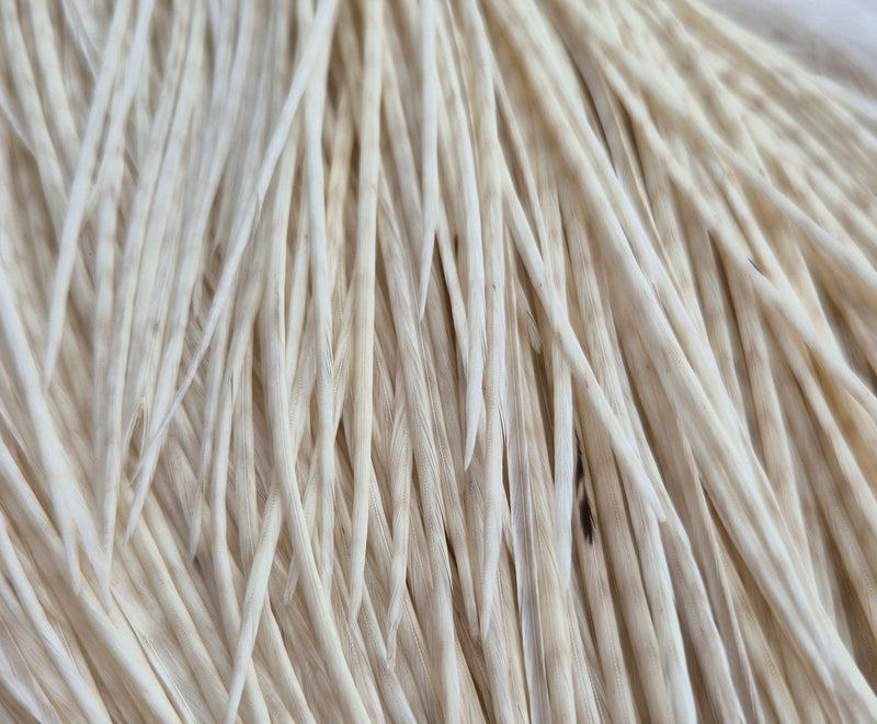 Whiting Farms - Commercial Grade Dry Fly Saddle - White