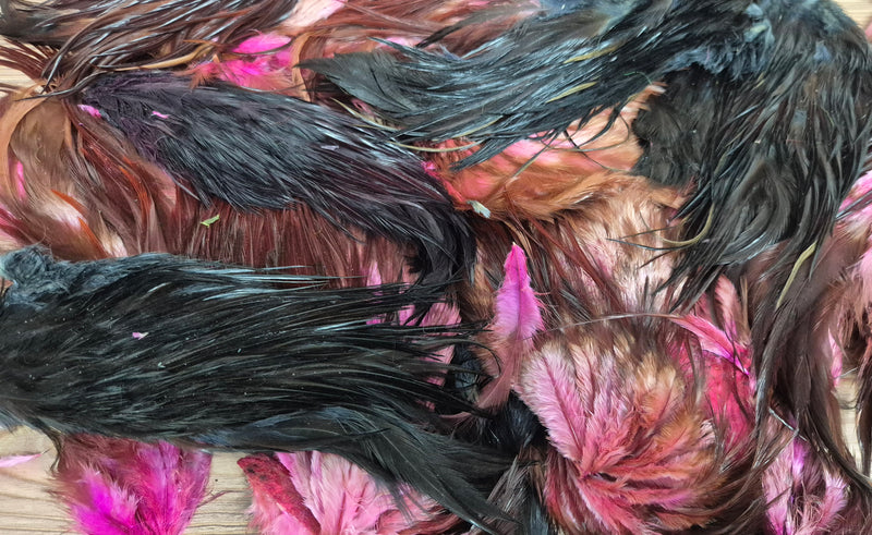 Genetic Rooster Saddles Spencer Hackles