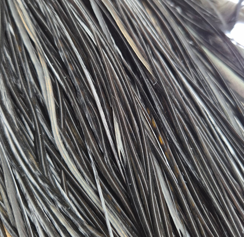 Whiting Farms - Commercial Grade Dry Fly Saddle - Black