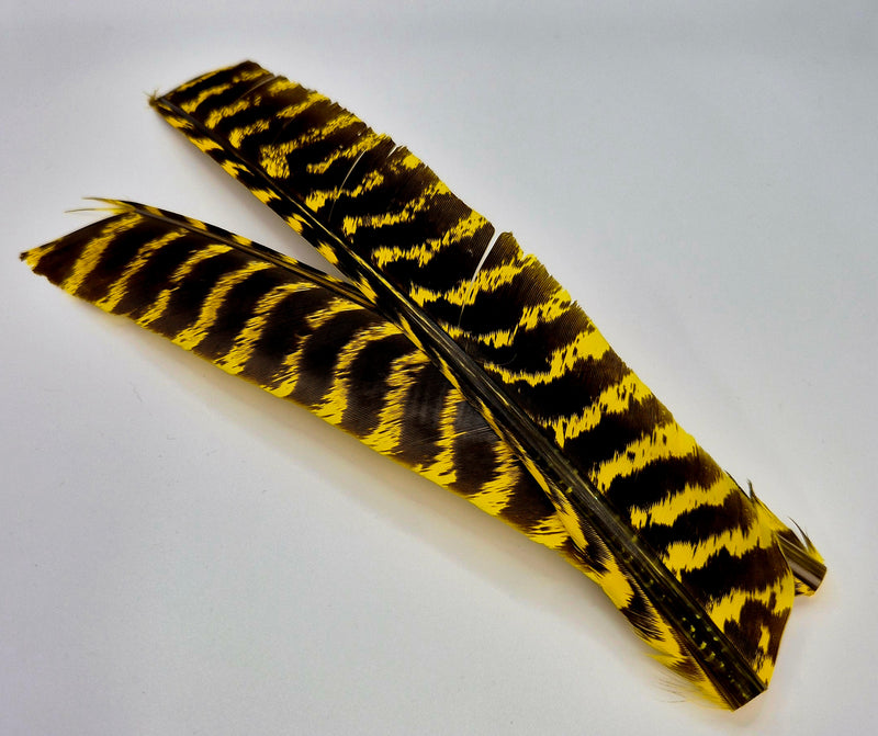 Nature's Spirit Wild Turkey Barred Biot Quills