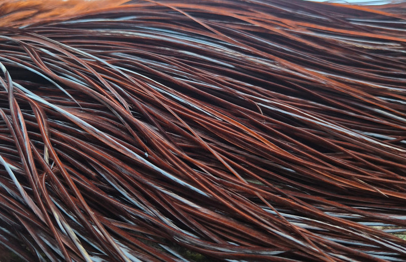 Whiting Farms - Commercial Grade Dry Fly Saddle - White Dyed Coachman Brown