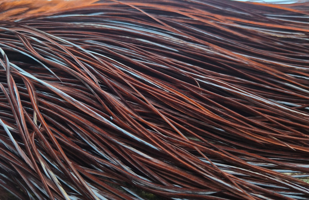 Whiting Farms - Commercial Grade Dry Fly Saddle - White Dyed Coachman Brown