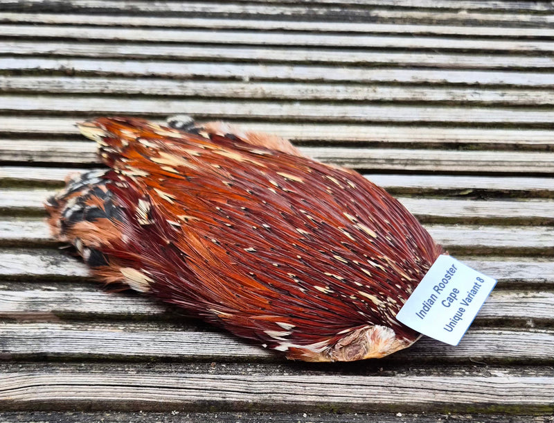 Indian Rooster Cape