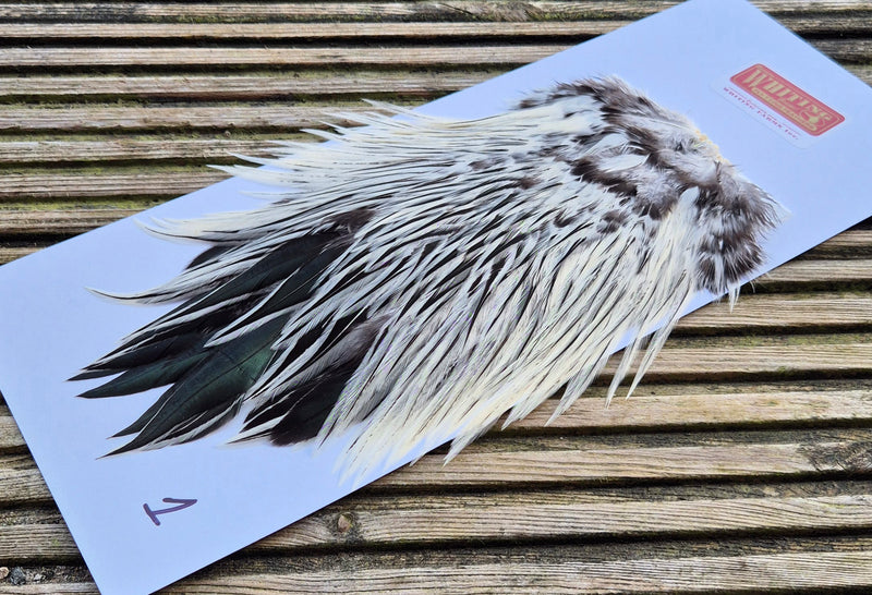 Whiting Farms - Brahma Rooster Saddle