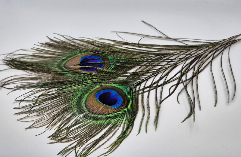 Veniard Peacock Eye Tops