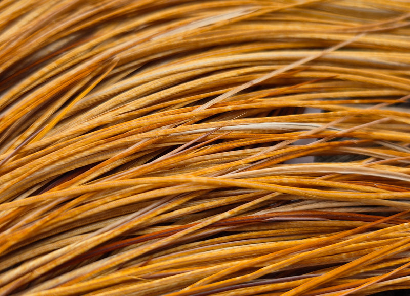 Whiting Farms - Commercial Grade Dry Fly Rooster Cape - Medium Ginger