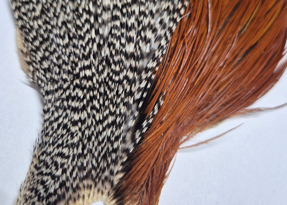 Whiting Farms Introductory Hackle Pack - Four Half Capes
