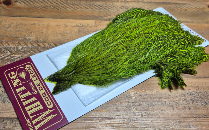 Whiting Farms - Coq de Leon Hen Capes