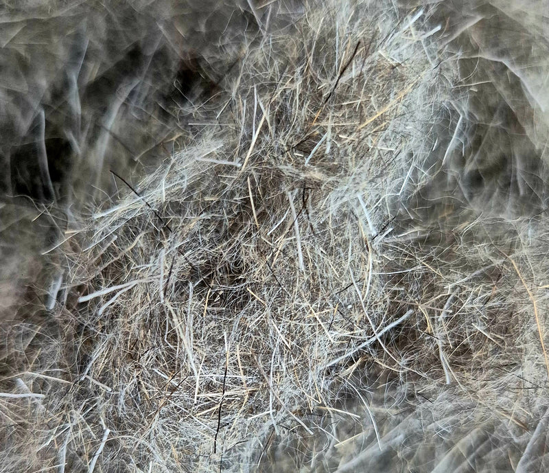 Hare & Squirrel Deer Dubbing