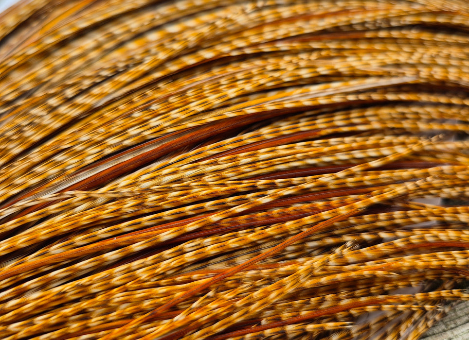 Whiting Farms - Commercial Grade Dry Fly Rooster Cape - Barred Dark Ginger