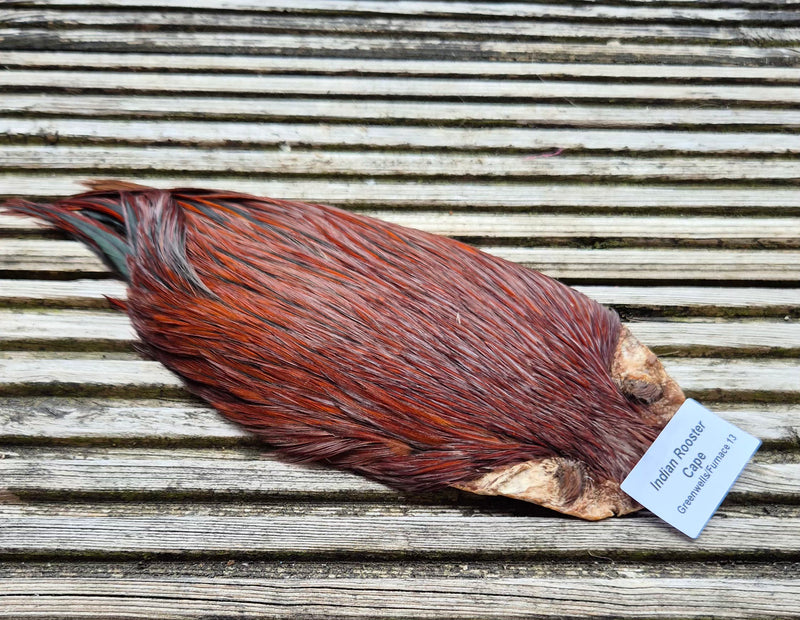 Indian Rooster Cape