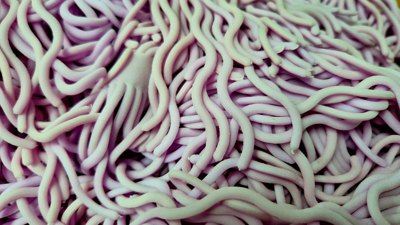 Squirmy Worm Material