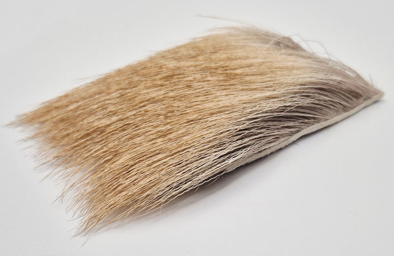 Nature's Spirit - Bull Elk