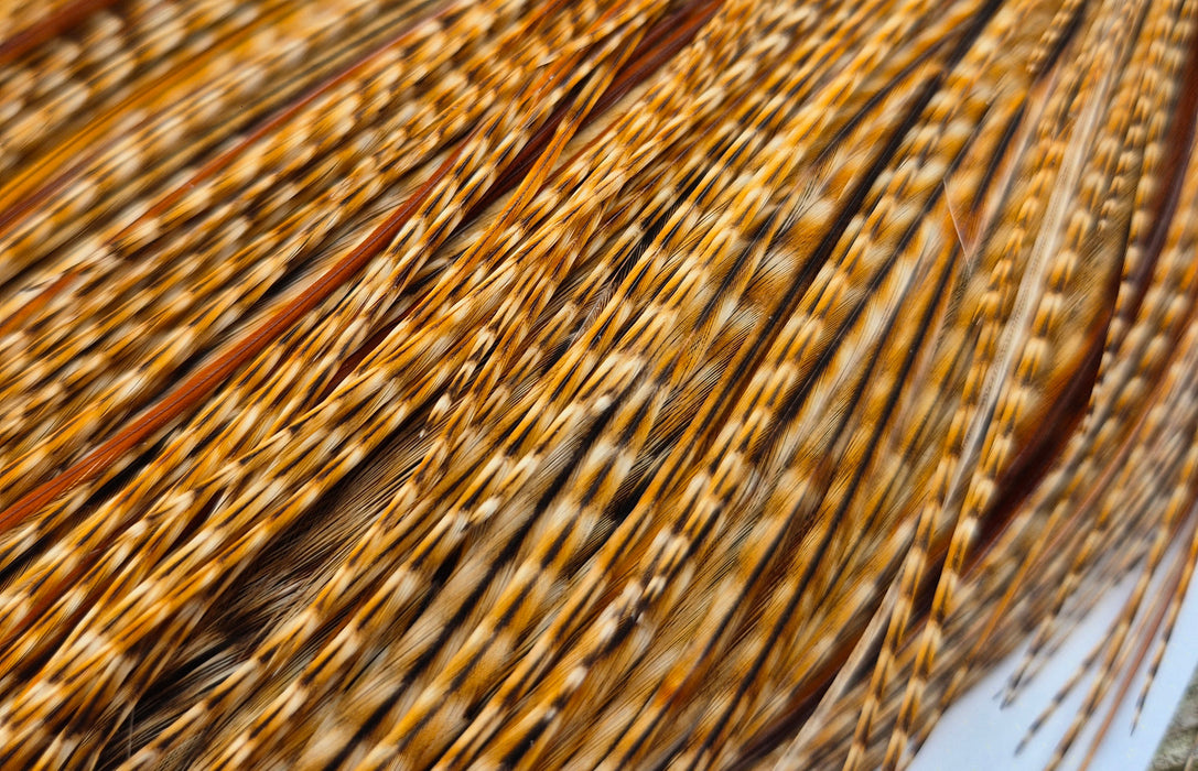 Whiting Farms - Commercial Grade Dry Fly Rooster Cape - Barred Dark Ginger