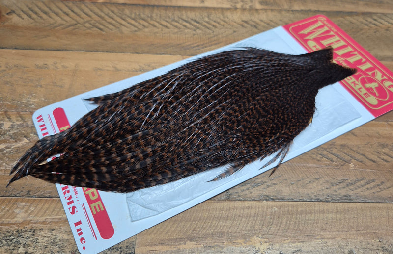 Whiting Farms - Hen Cape