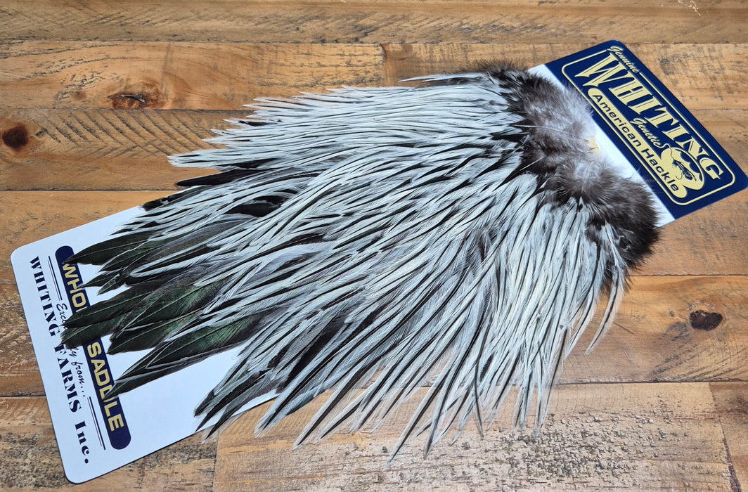 Whiting Farms American Rooster Saddle