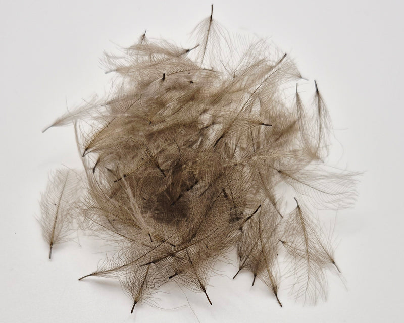 Nature's Spirit Duck Cul de Canard CDC