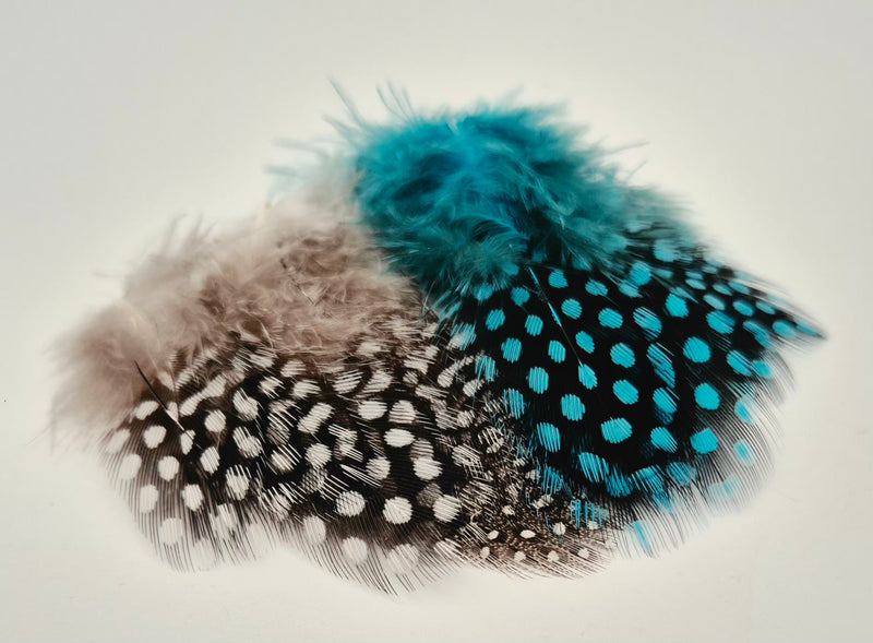 Veniard Guinea Fowl Selected Small