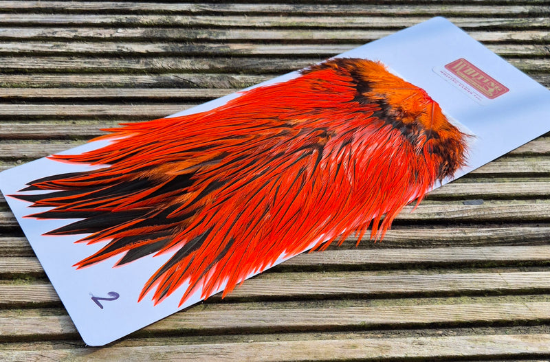 Whiting Farms - Brahma Rooster Saddle