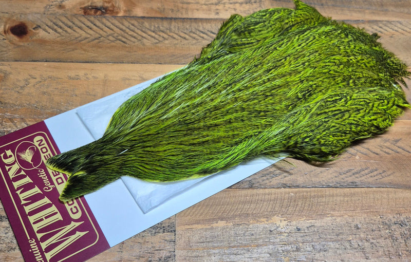 Whiting Farms - Coq de Leon Hen Capes