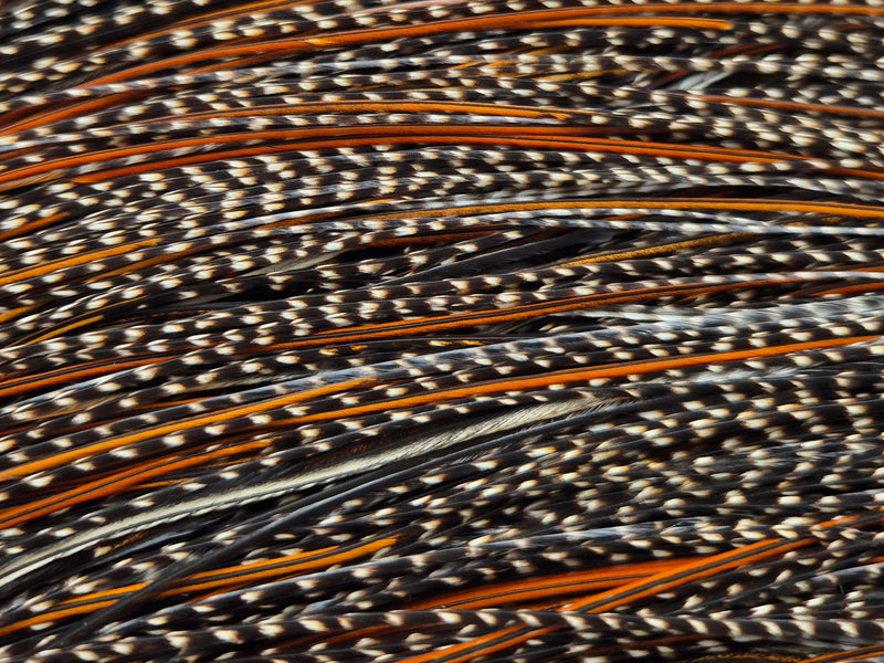 Whiting Farms - Pro Grade Midge Saddle - Cree 2