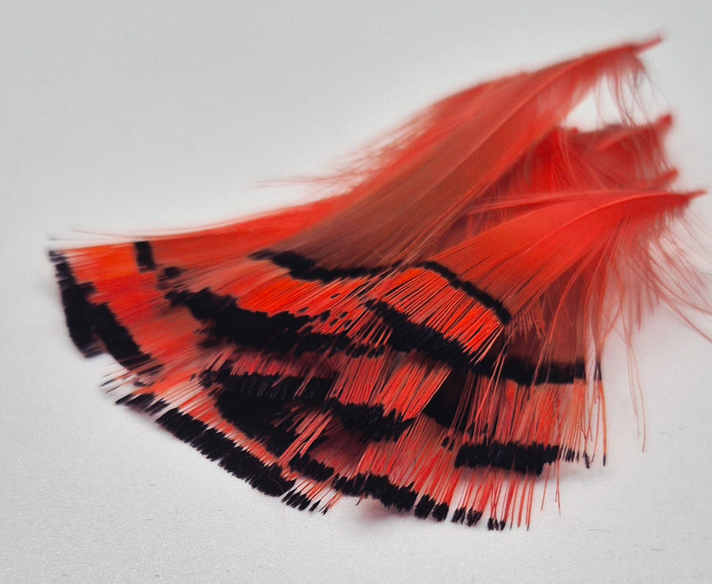 Shor Fishing - Golden Pheasant Tippets 12 Feathers