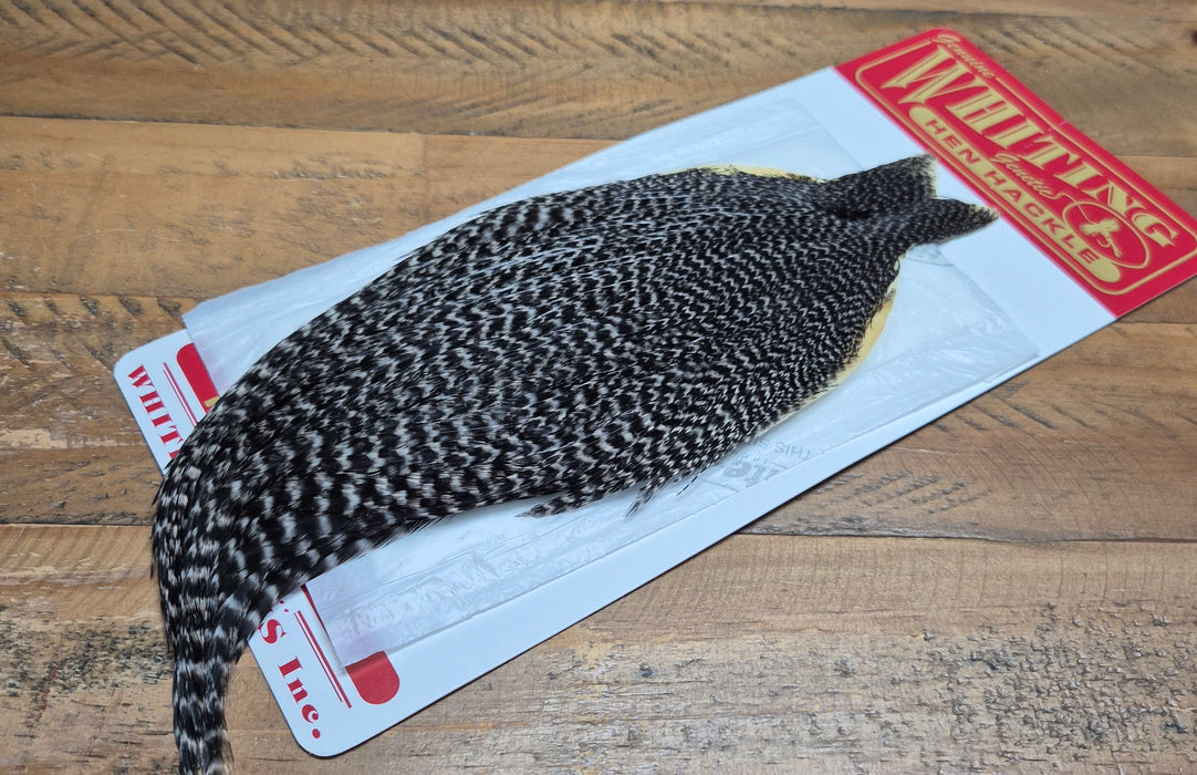 Whiting Farms - Hen Cape
