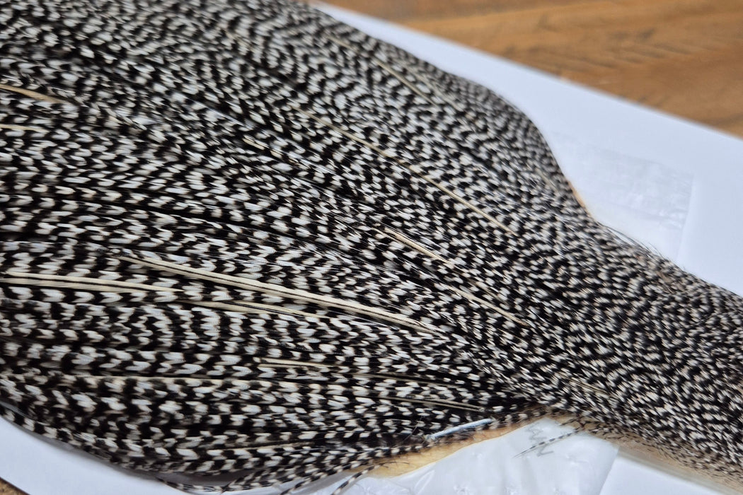 Whiting Farms - Commercial Grade Dry Fly Rooster Cape - Grizzly Variant