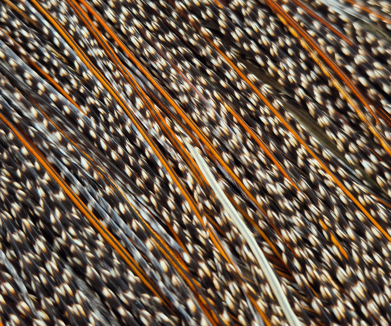 Whiting Farms - Pro Grade Midge Saddle - Cree 2