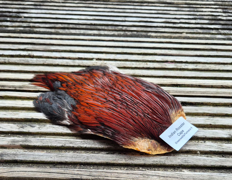 Indian Rooster Cape