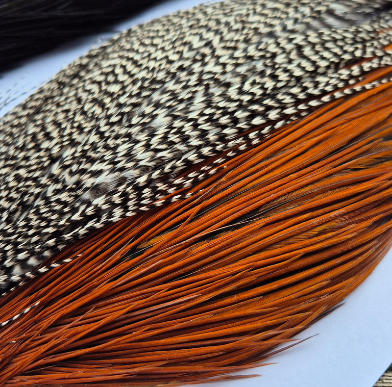 Whiting Farms Introductory Hackle Pack - Four Half Capes