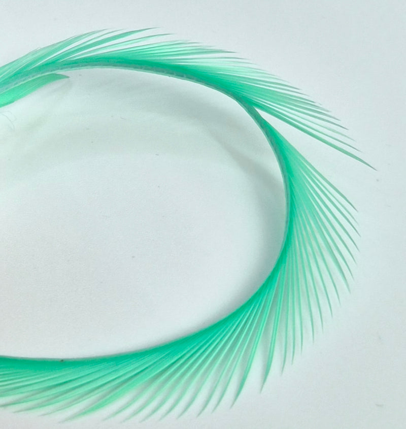 Electric Goose Biots