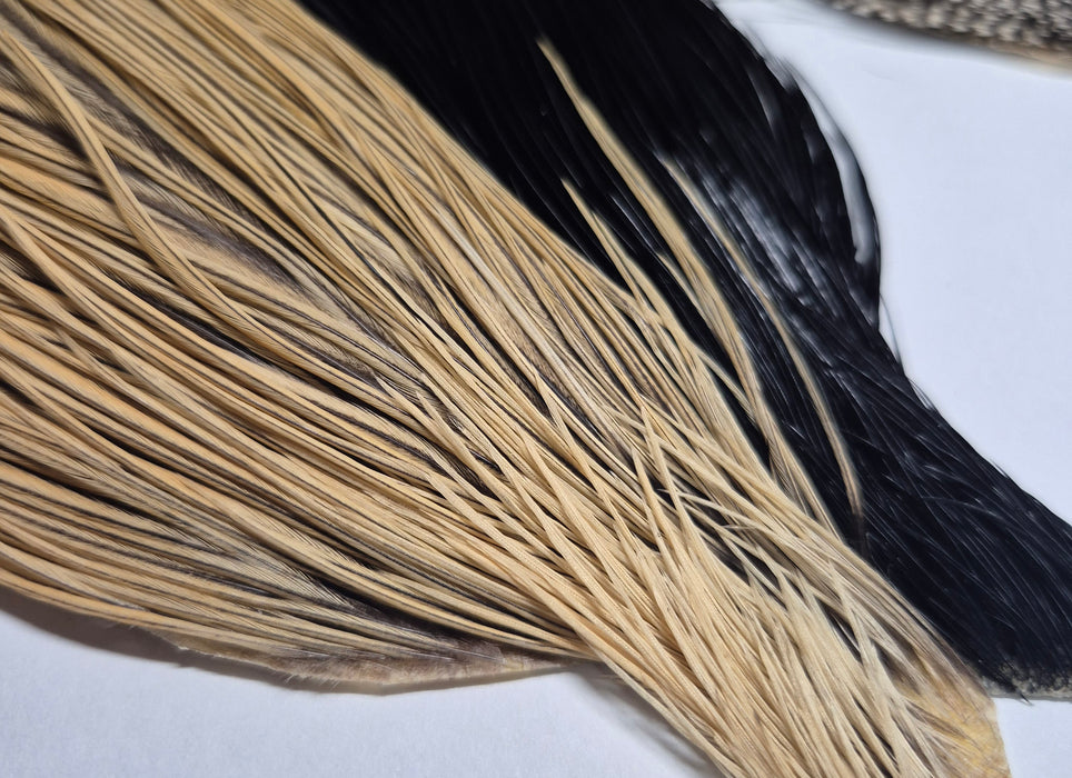 Whiting Farms Introductory Hackle Pack - Four Half Capes