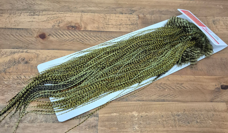 Whiting Farms - Pro Grade Midge Saddle - Grizzly Dyed Olive