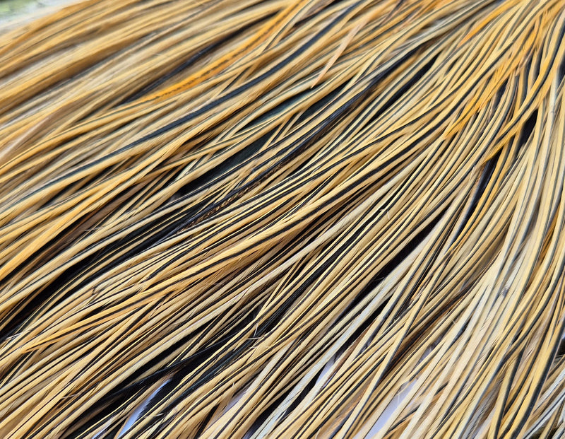 Whiting Farms - Pro Grade Midge Saddle - Golden Badger 1