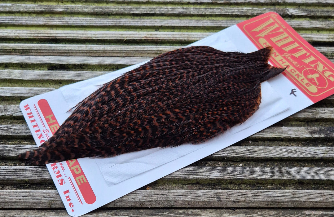 Whiting Farms - Hen Cape