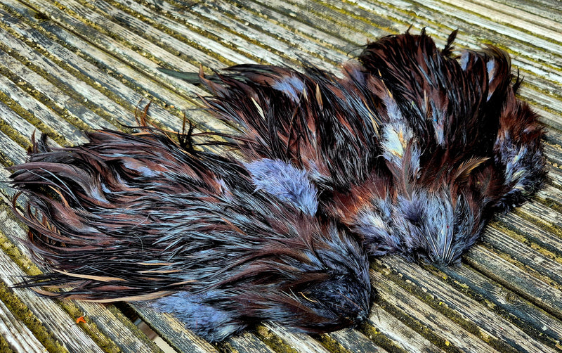 Genetic Rooster Saddles Spencer Hackles