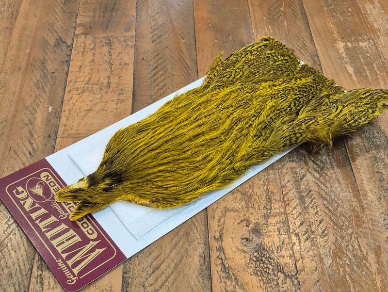 Whiting Farms - Coq de Leon Hen Capes