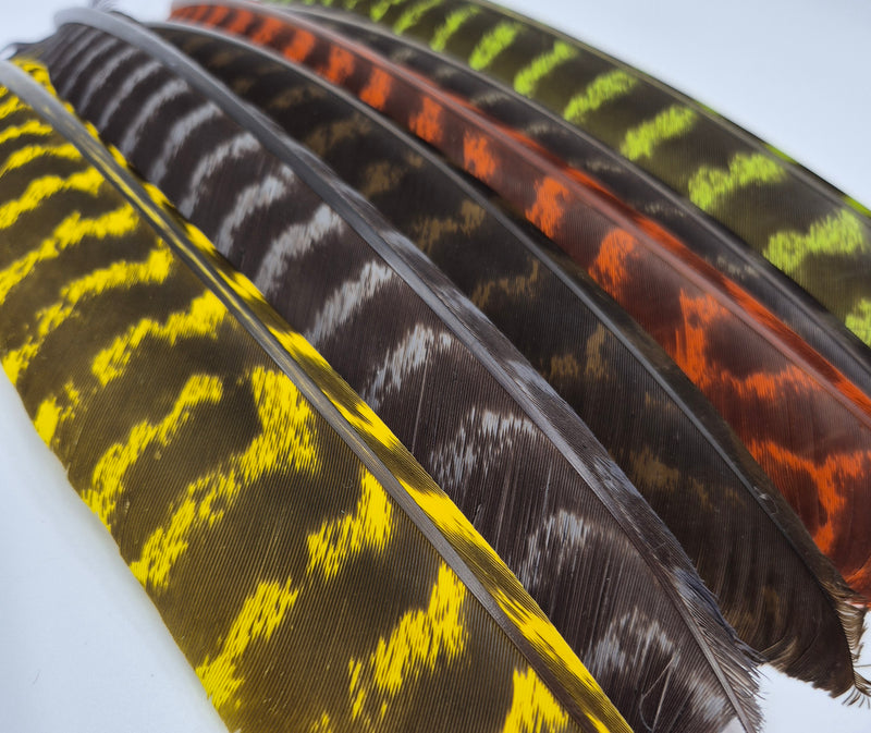 Nature's Spirit Wild Turkey Barred Biot Quills