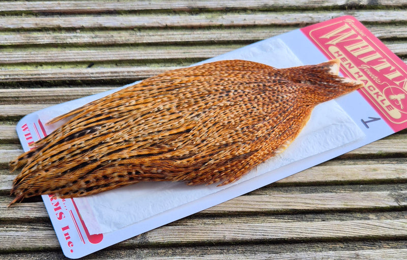 Whiting Farms - Hen Cape