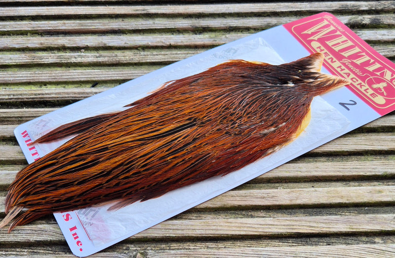 Whiting Farms - Hen Cape